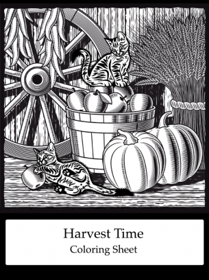 Harvest Time Coloring Sheet