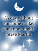 Steve Martin Funny Quotes