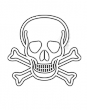 Skull Activities Template
