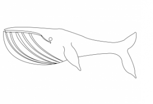 free printable whale coloring sheet