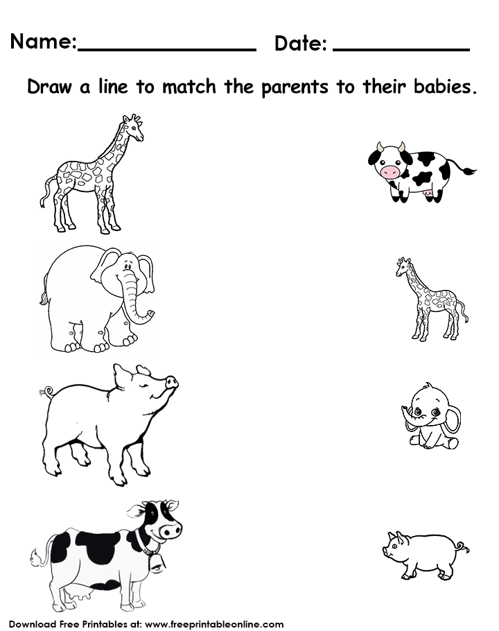 What new with our range? - Free Printable Online Blog