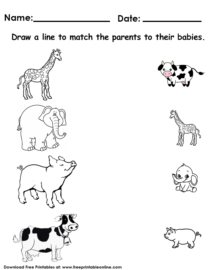 Matching worksheet